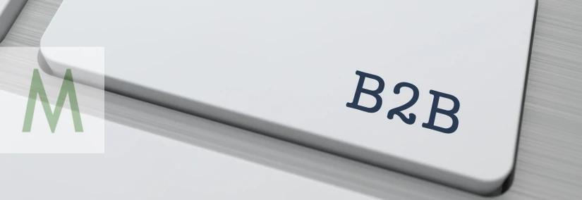 B2B key, terms for business customers